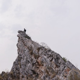 A person stands atop a jagged rocky cliff, surrounded by sparse vegetation and a cloudy sky. The scene conveys a sense of solitude and achievement.