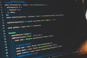 person sitting in front of computer