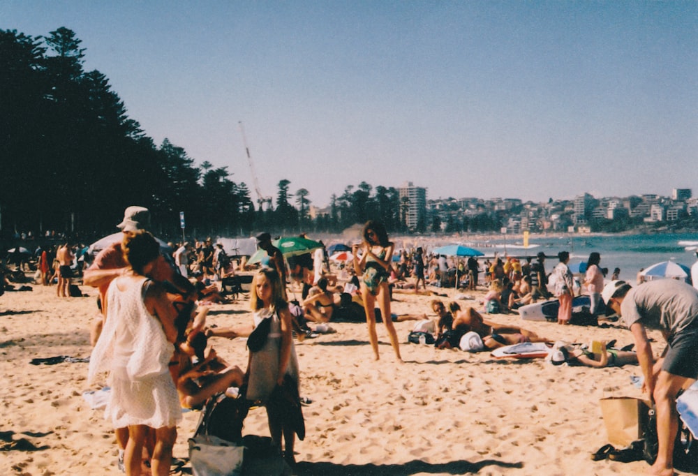 people on seashore under blue sky during daytime