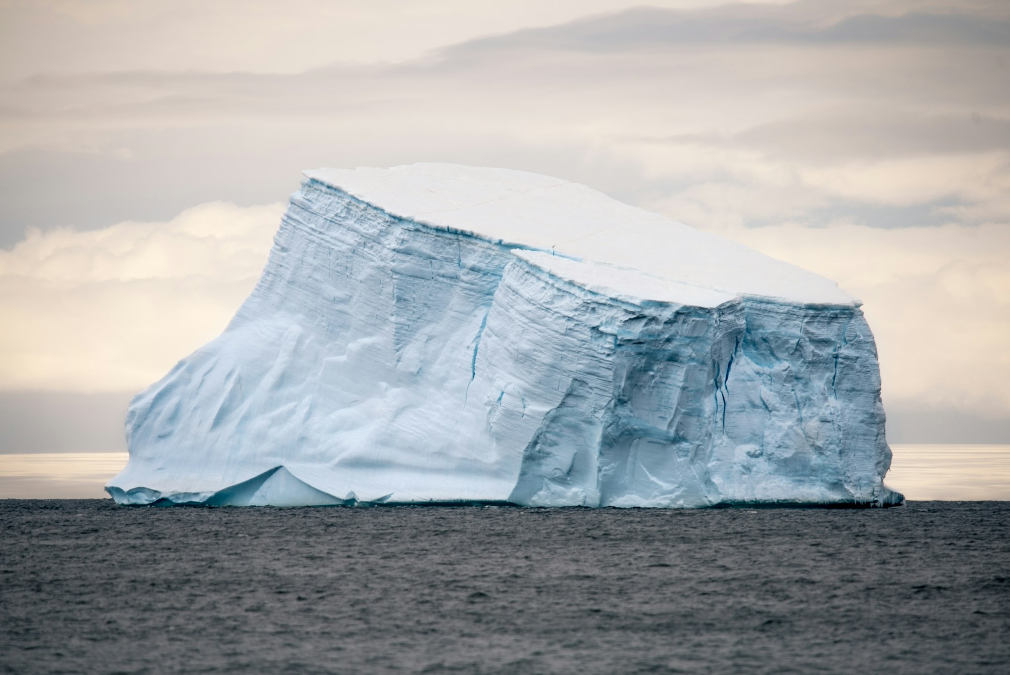 The Photo was taken during a ship expedition