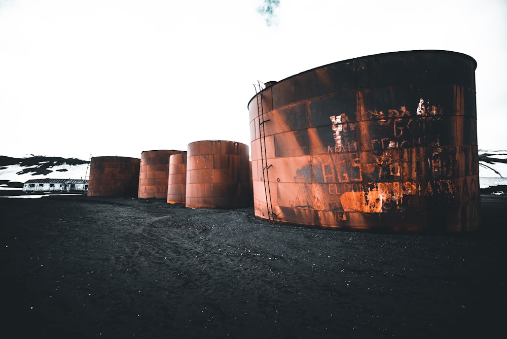 five brown barrel on sand