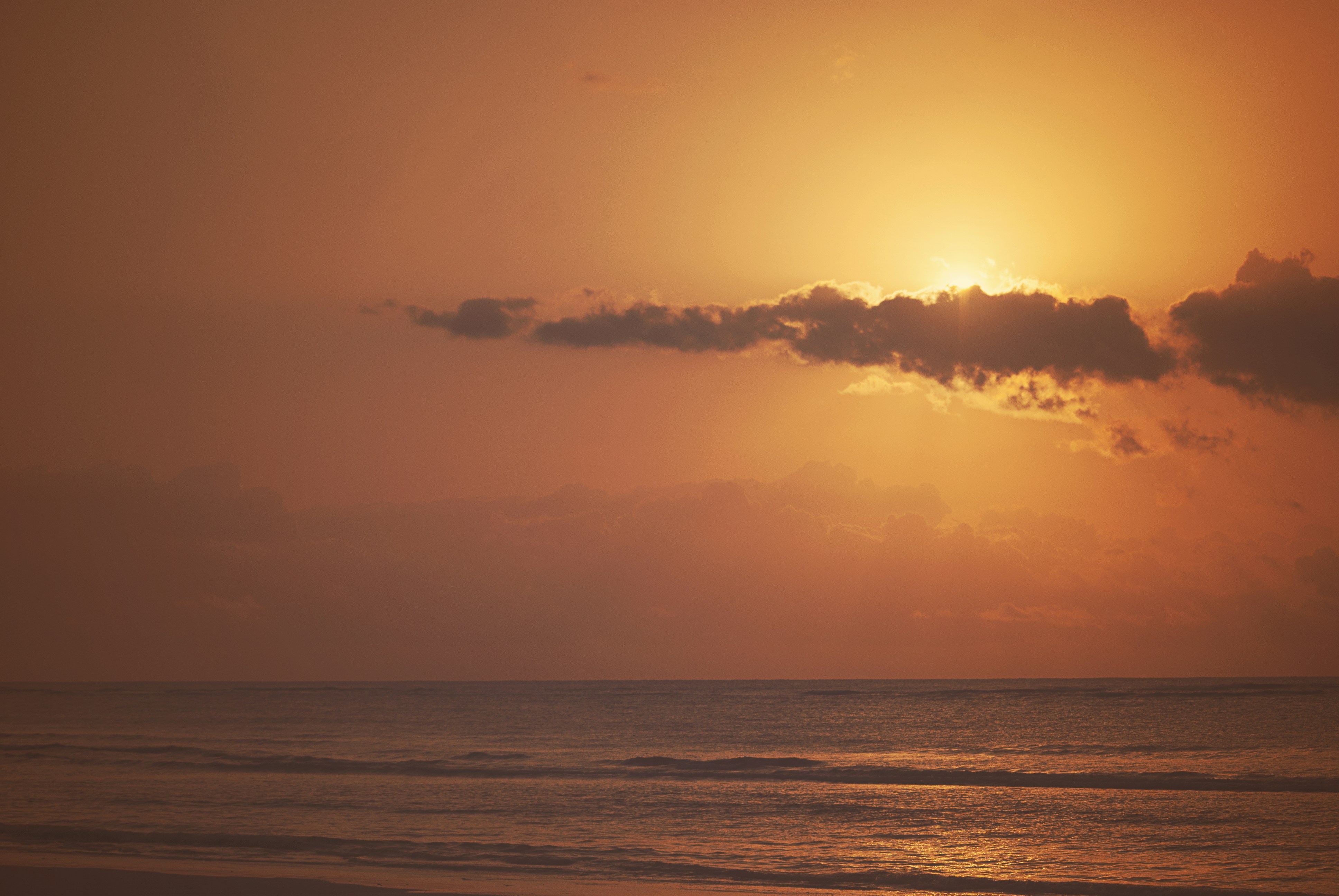 Photo by kimathimatic