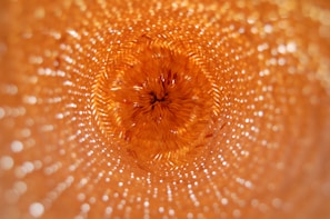 A perspective view from within a woven basket showcasing intricate patterns and textures. The image captures the natural weave of the basket material, highlighted by warm golden hues and light reflections. The center of the basket creates a focal point drawing the viewer's eye inward.
