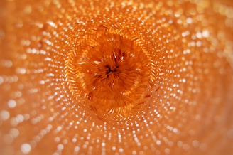 A perspective view from within a woven basket showcasing intricate patterns and textures. The image captures the natural weave of the basket material, highlighted by warm golden hues and light reflections. The center of the basket creates a focal point drawing the viewer's eye inward.