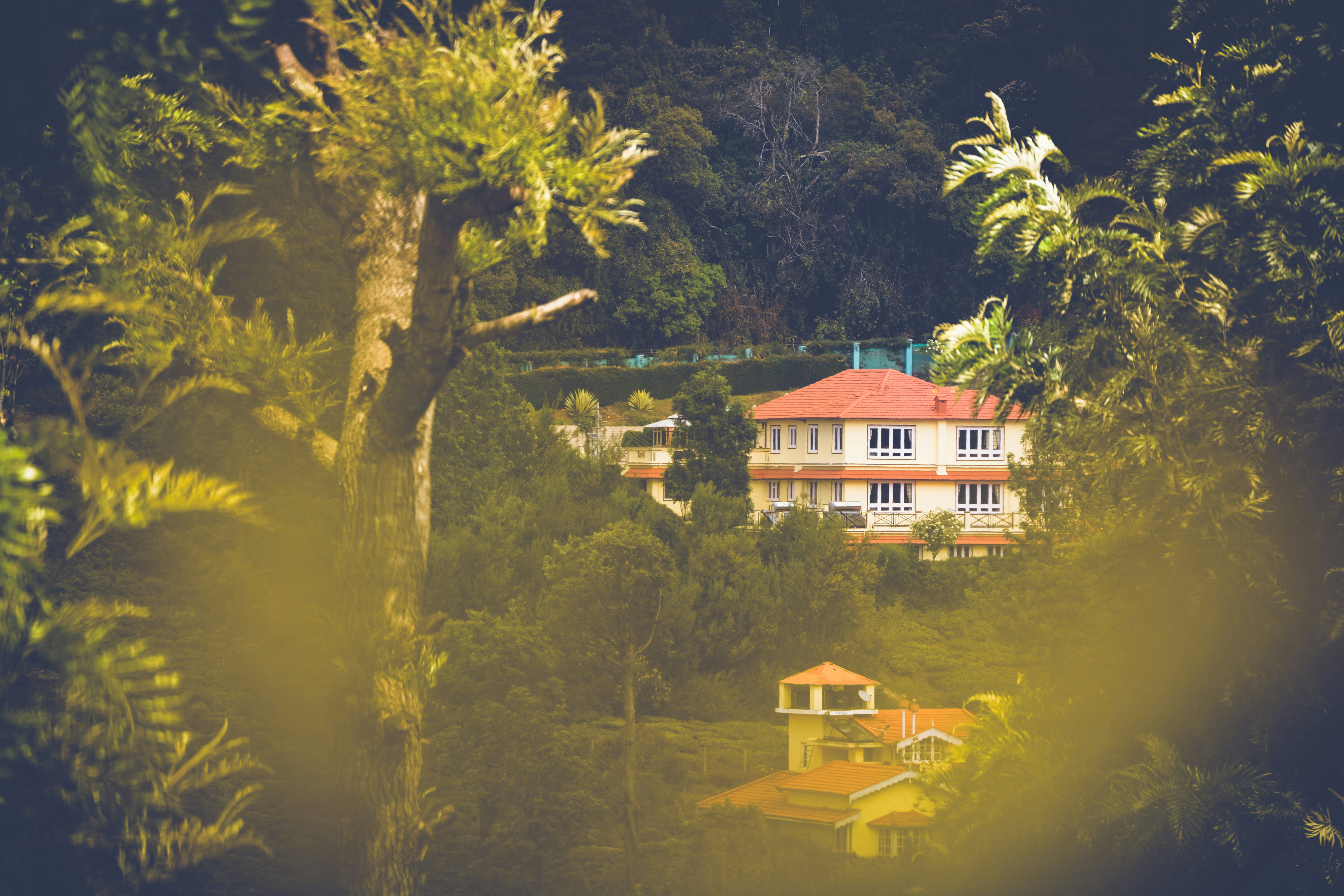 Photo by thefinalshot