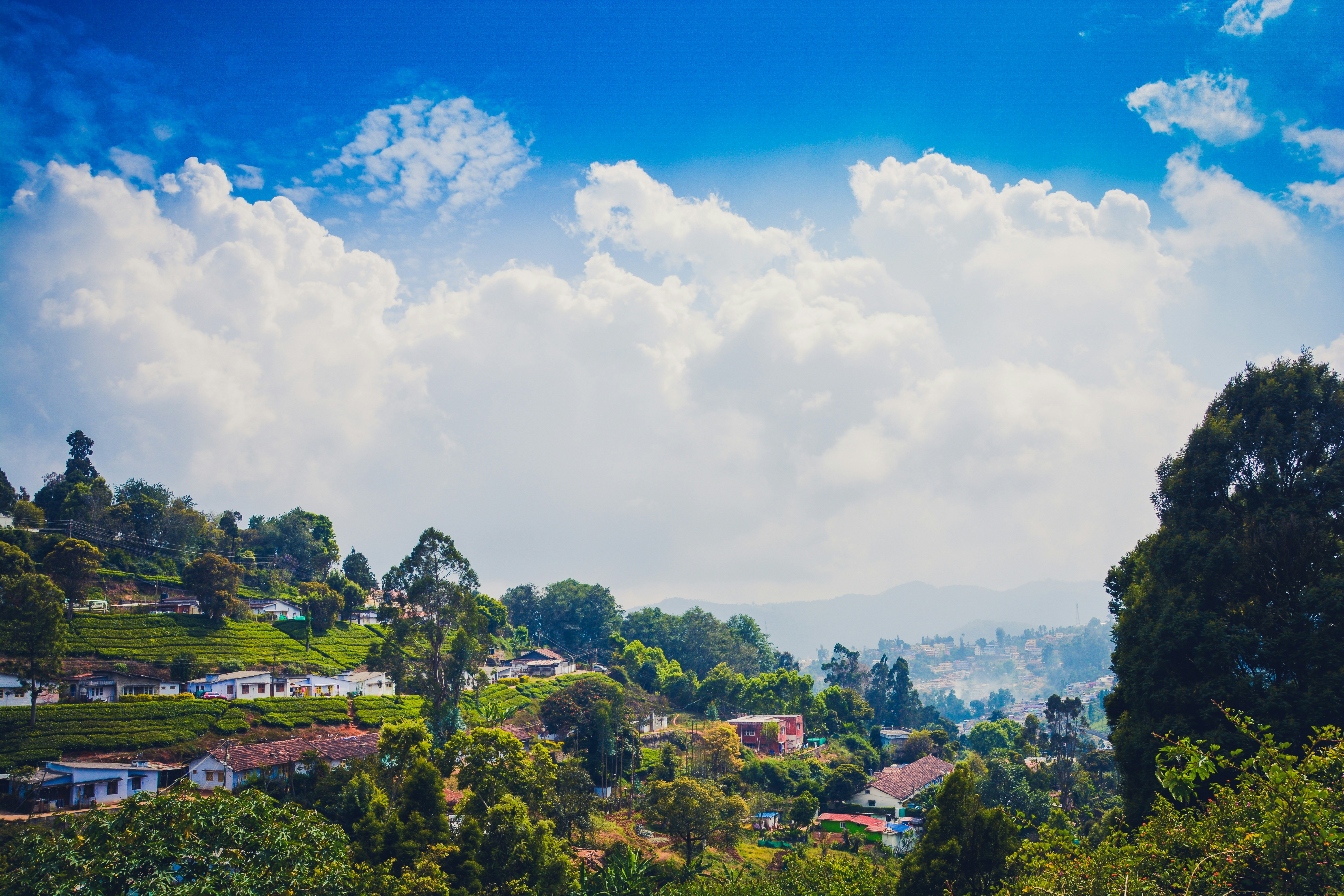 Photo by thefinalshot