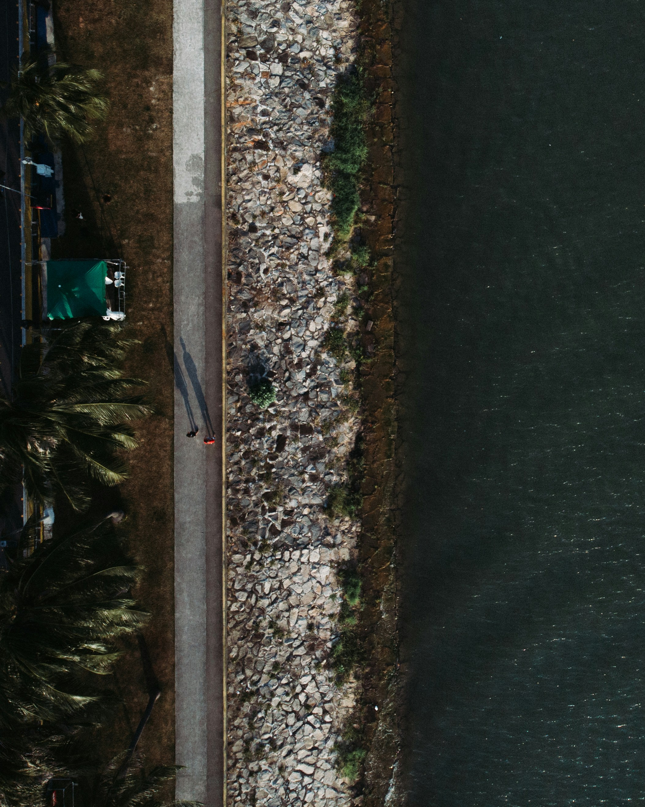 Photo by zhuzhutrain