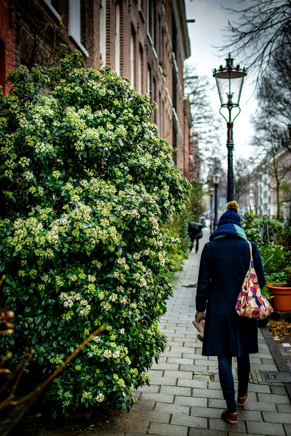 persona que camina por el sendero junto a las plantas de hojas verdes