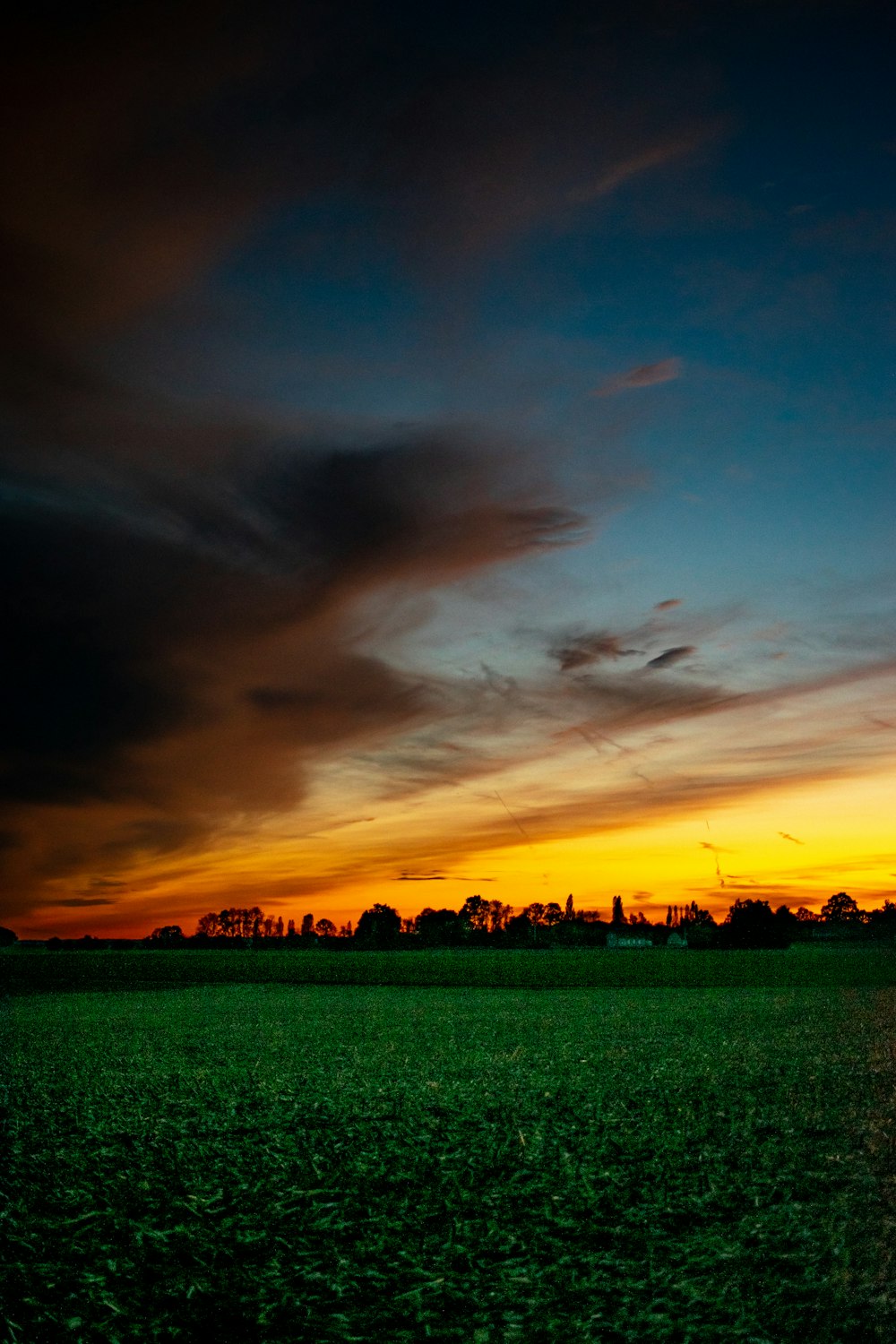 grass field under blue sky