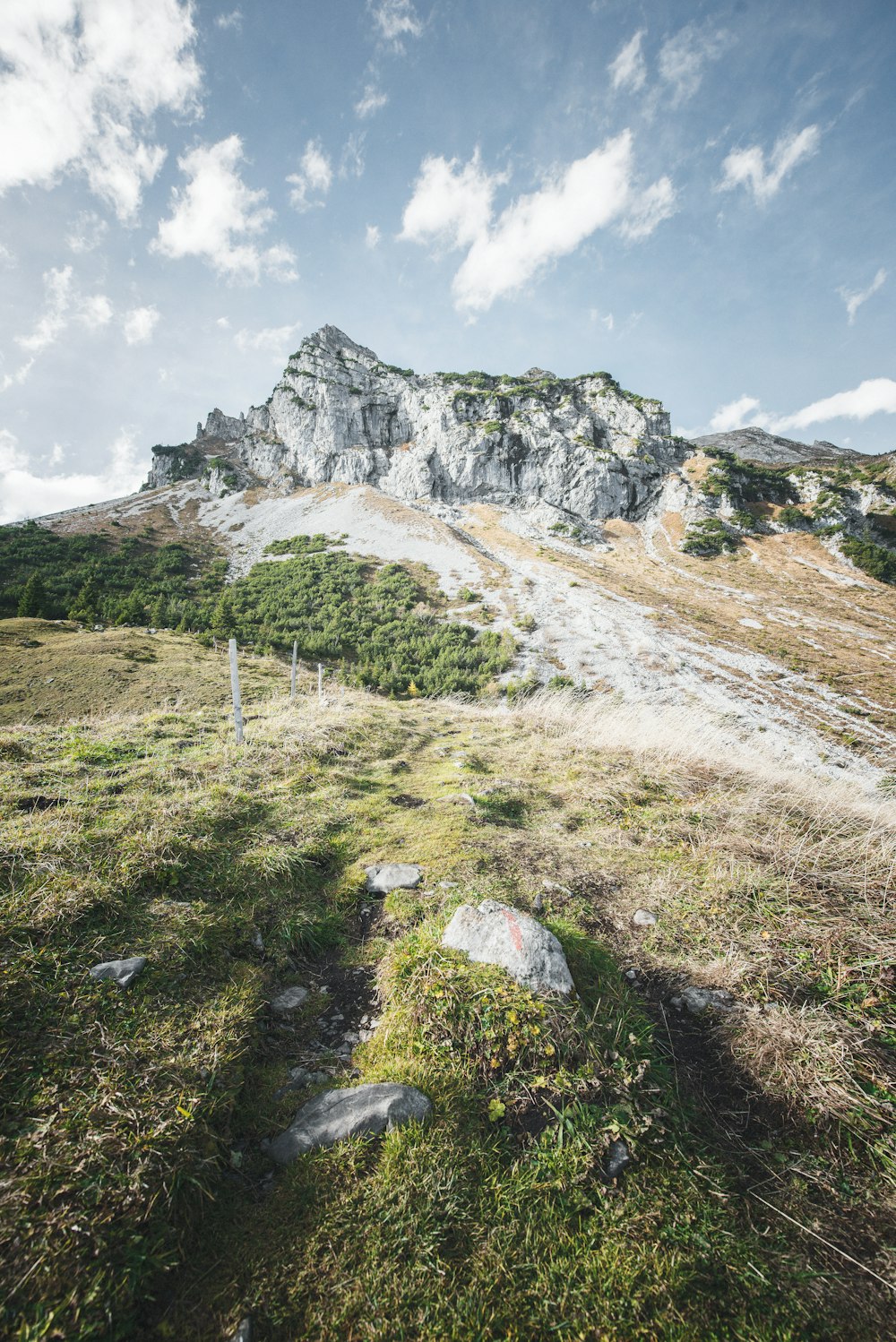 mountain during daytime