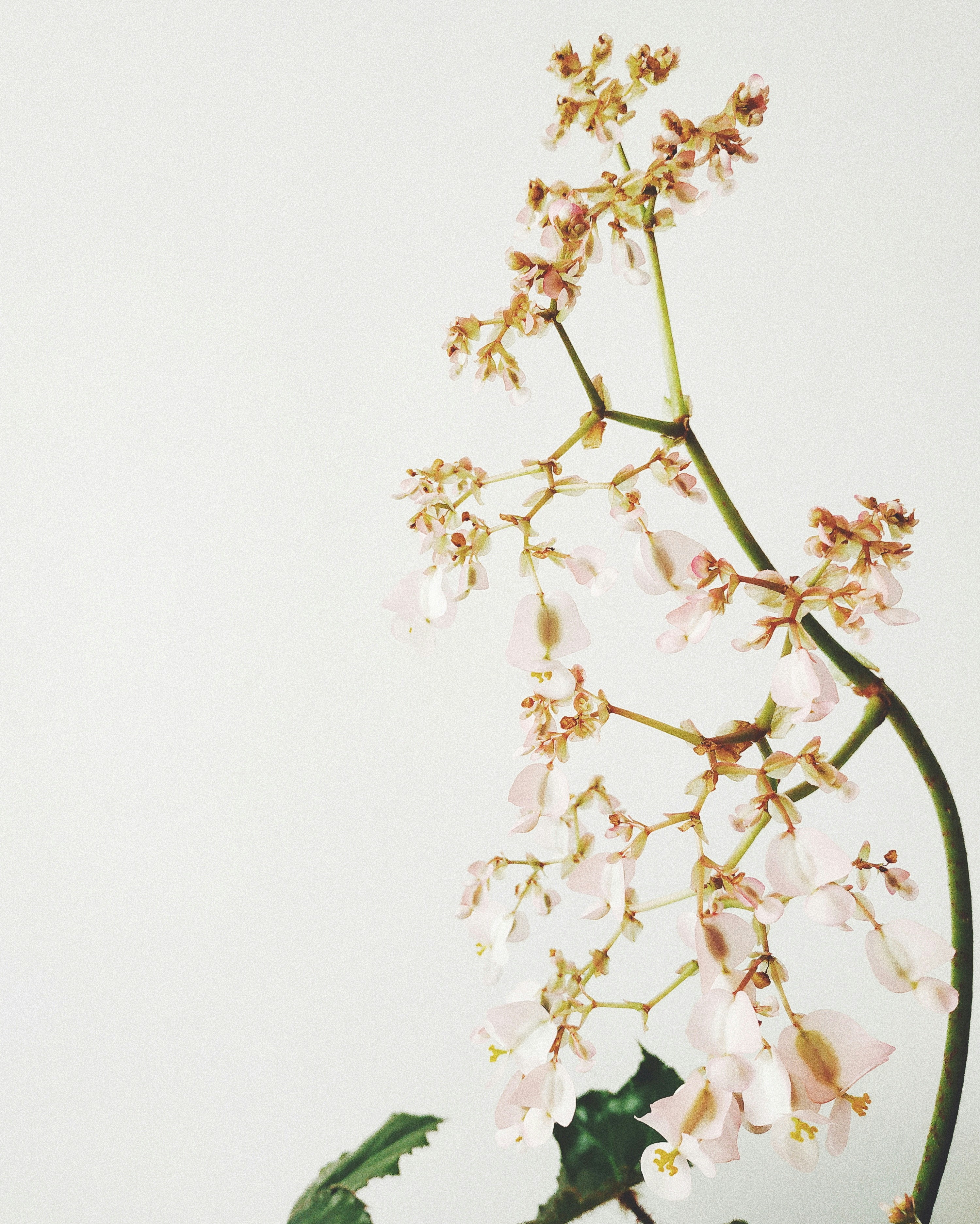 Photo by anna_yenina