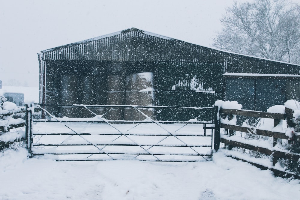 snow-covered shed