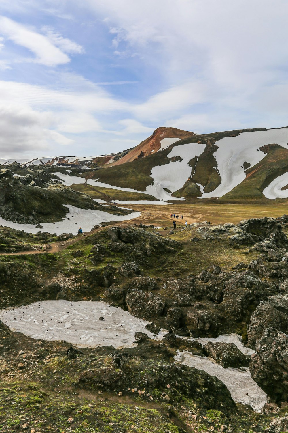 land covered in snow