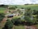 An aerial view of a rural landscape featuring a farmhouse surrounded by lush greenery and multiple small ponds. The property includes solar panels on the building roofs, and is set amidst rolling fields and scattered trees. The sky is overcast with clouds, adding depth to the scenery.