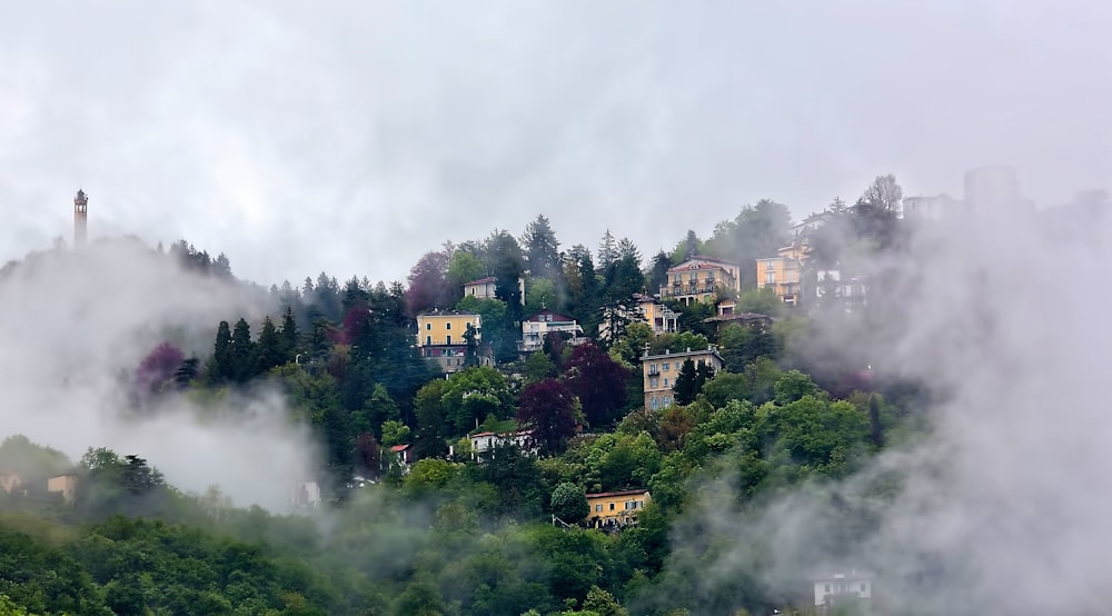 concrete buildings near trees