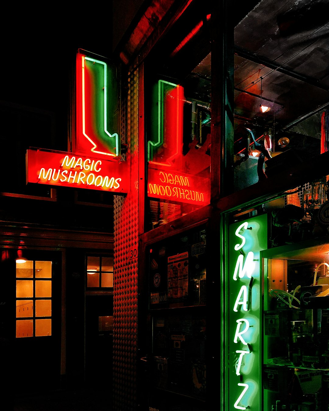 green and red Magic Mushrooms neon light signage