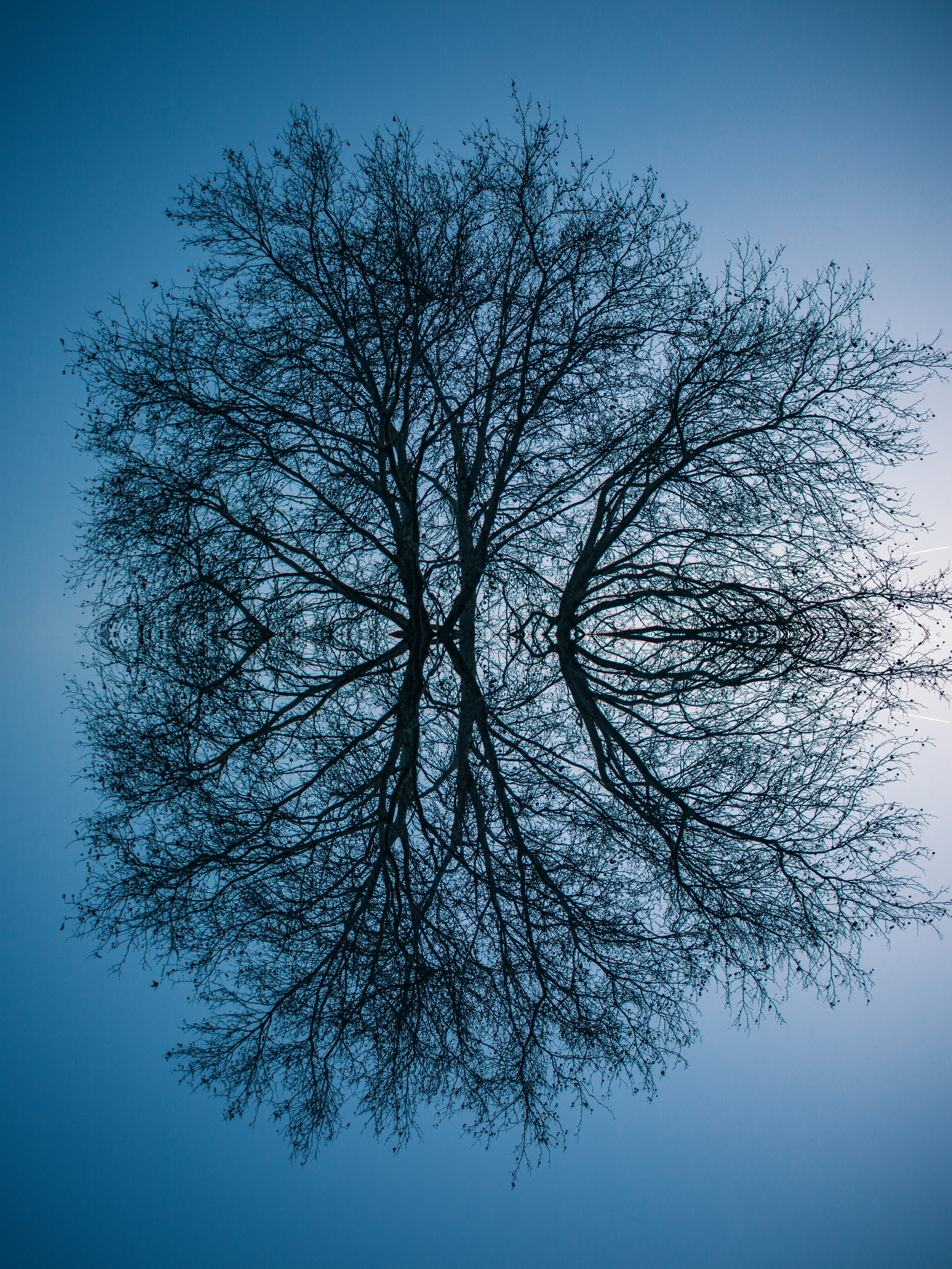 Photo by paul_siewert