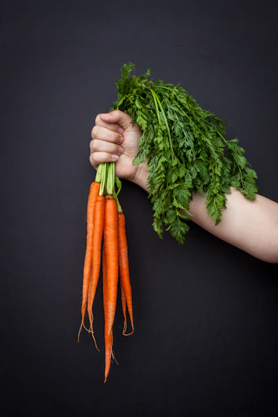 Fresh crop sorting