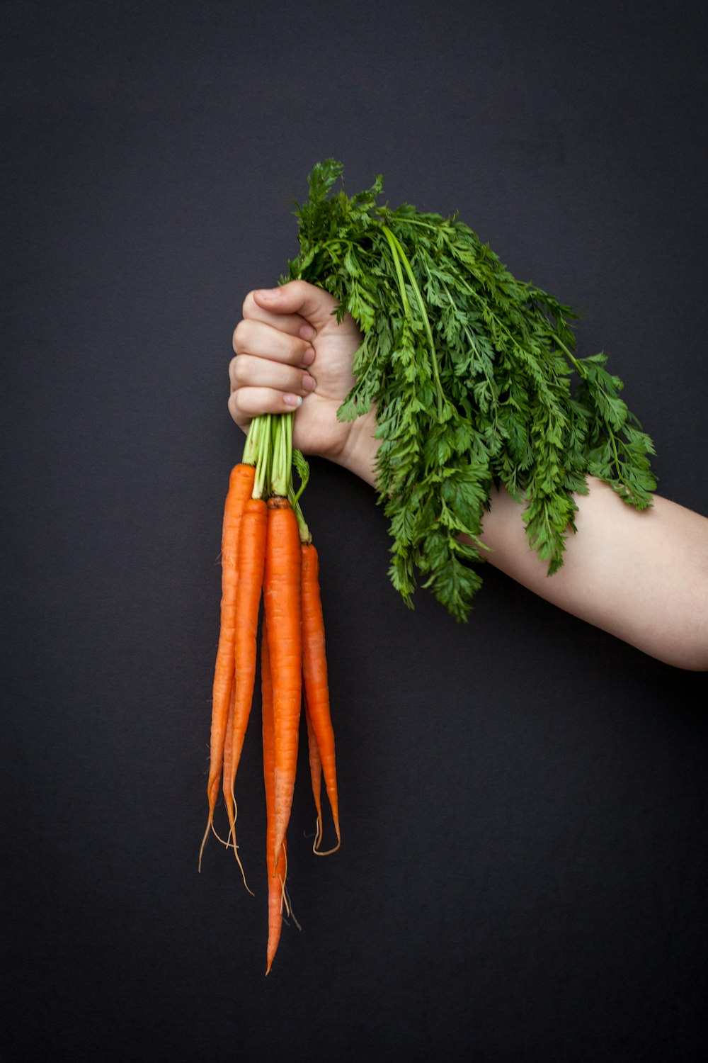 Persona sosteniendo zanahorias