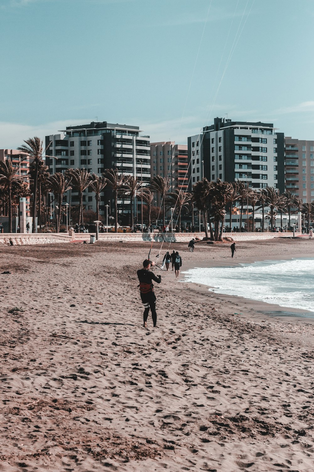 people on seashore during daytime