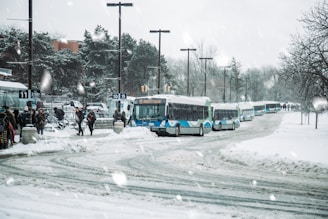 white bus on road