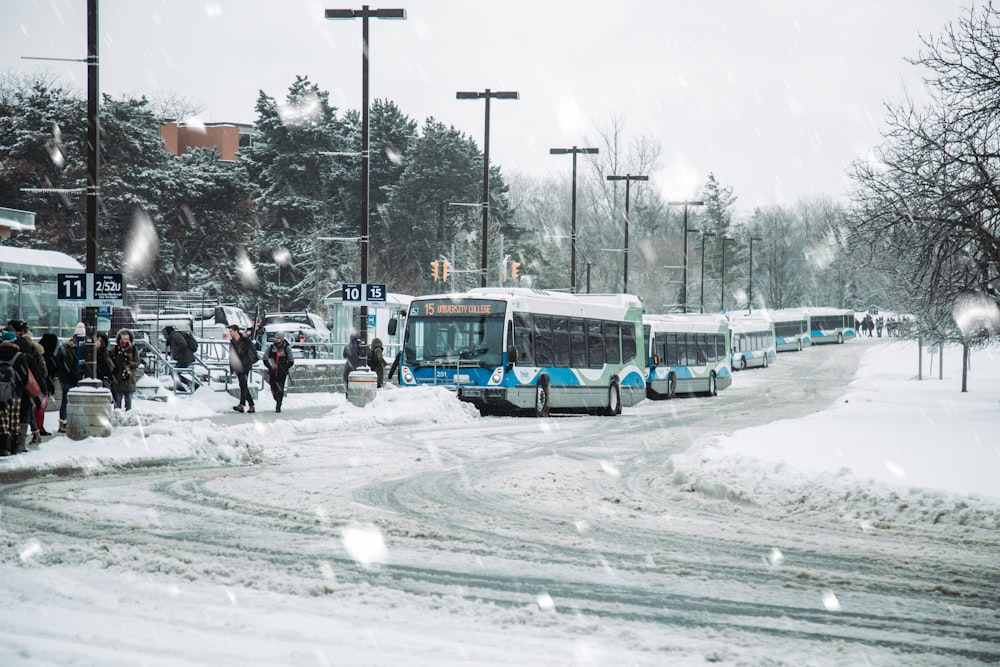 white bus on road