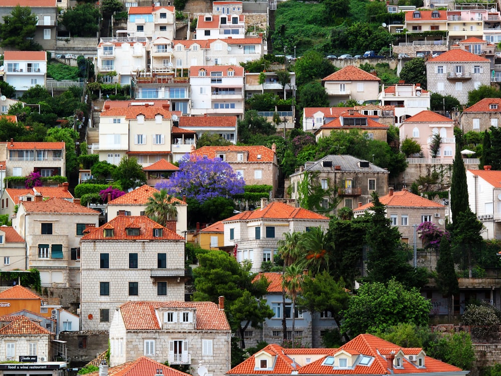 aerial photography of houses with trees