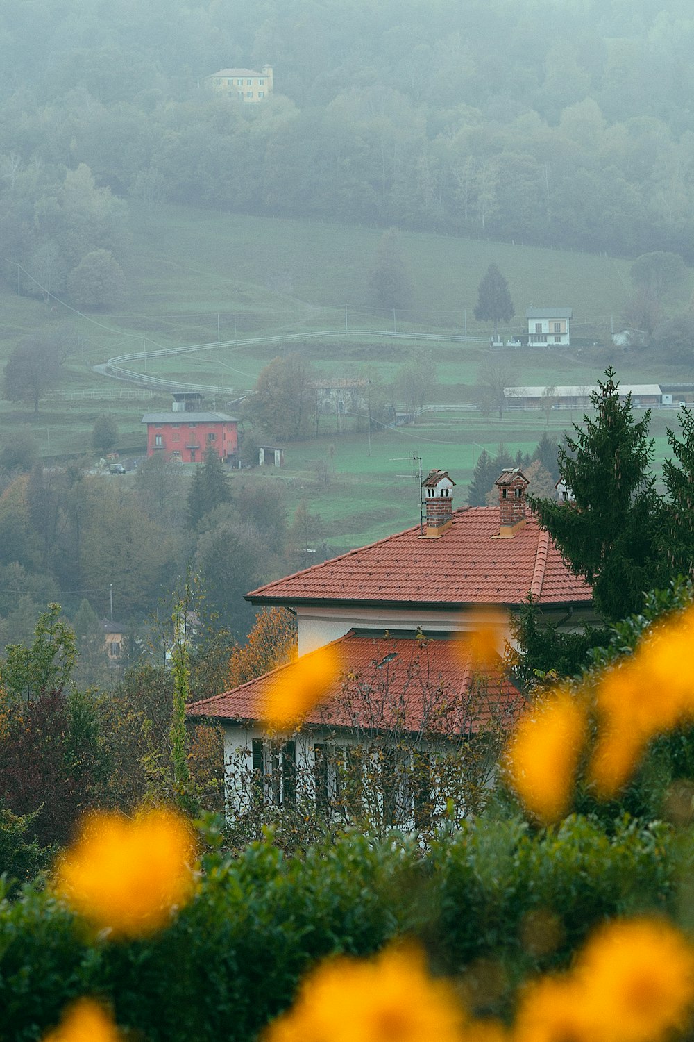 selective focus photography of red and white concrete house