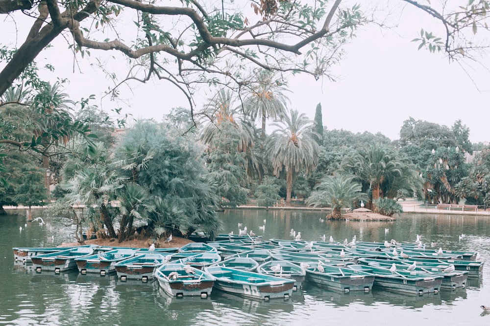 selective focus photography of boat lot on body of water