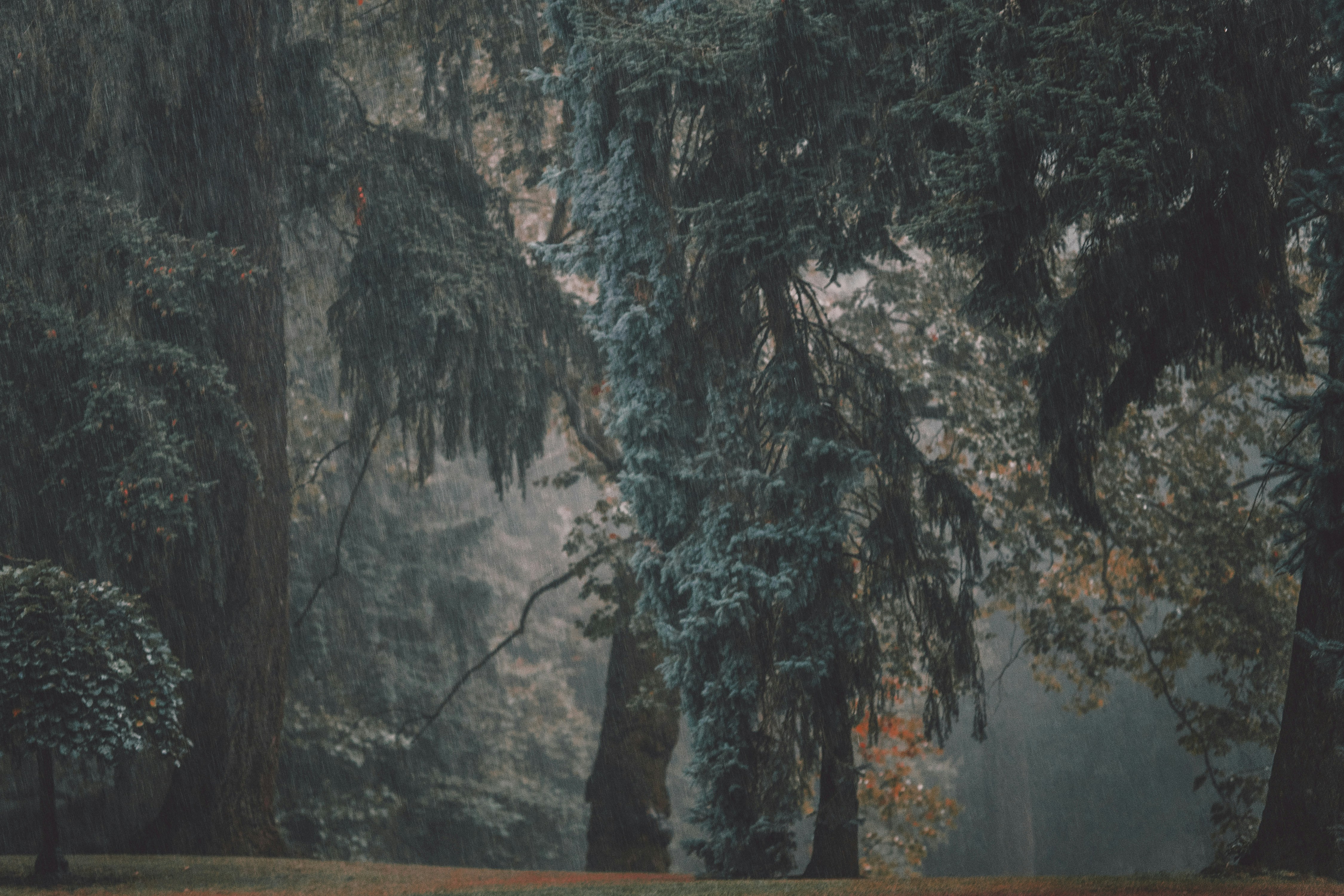 Photo by orlovamaria