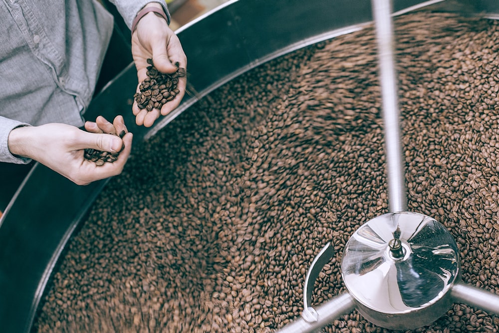 person holding coffee beans