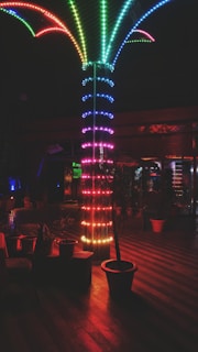 A vibrant, multi-colored LED light installation resembling a palm tree is the focal point of a dimly lit indoor space. The floor is wooden with planters arranged around the base of the light structure, and soft ambient lighting reflects off different surfaces.