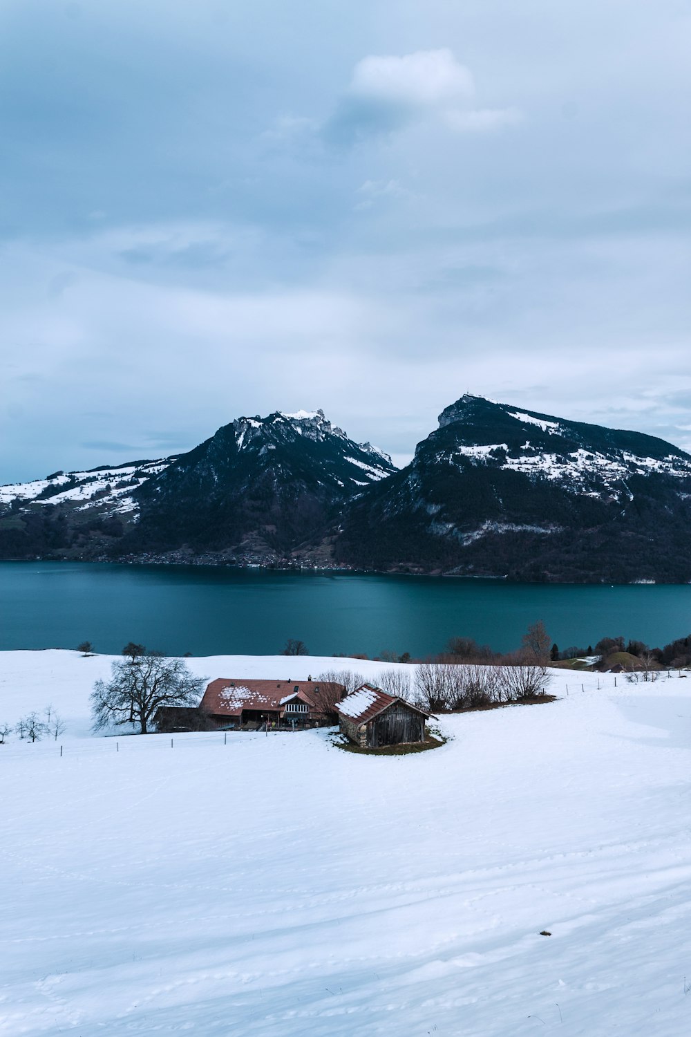 Dos casas marrones en un campo nevado