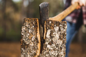 Close-up of a gleaming firewood splitter blade catching the light.