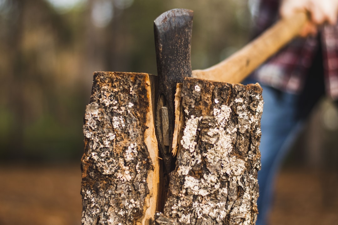brown handle axe, Lumberjack Adventures