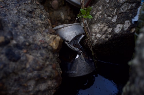 A crushed aluminum can is wedged between rough stones, with small green plants growing nearby. The scene is dimly lit, focusing on the discarded can embedded in a natural setting.