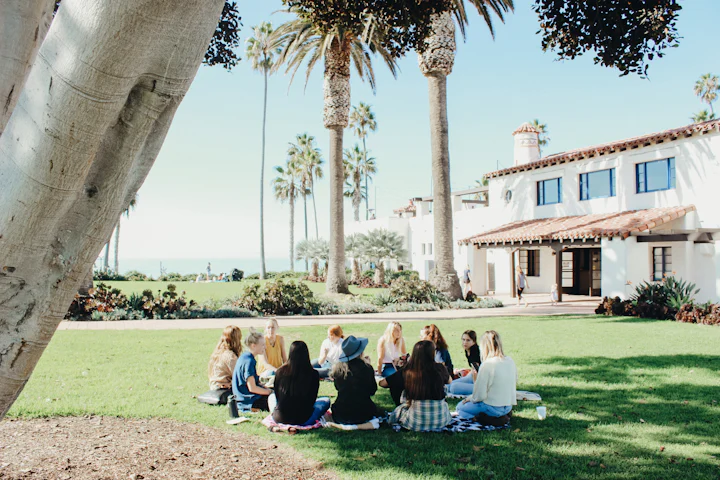 A group of people sitting in a circle on a lawn under palm trees.