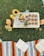 A picnic setup on grass includes a tray with a vase of sunflowers, a bowl of fruits, several oatmeal cookies, and a pitcher of orange juice. Surrounding the tray is a colorful striped blanket with an open notebook and a book. A small succulent and some flowers also decorate the scene.