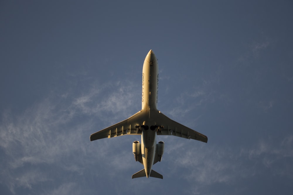 茶色の飛行機