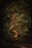 a tunnel of trees in the middle of a forest