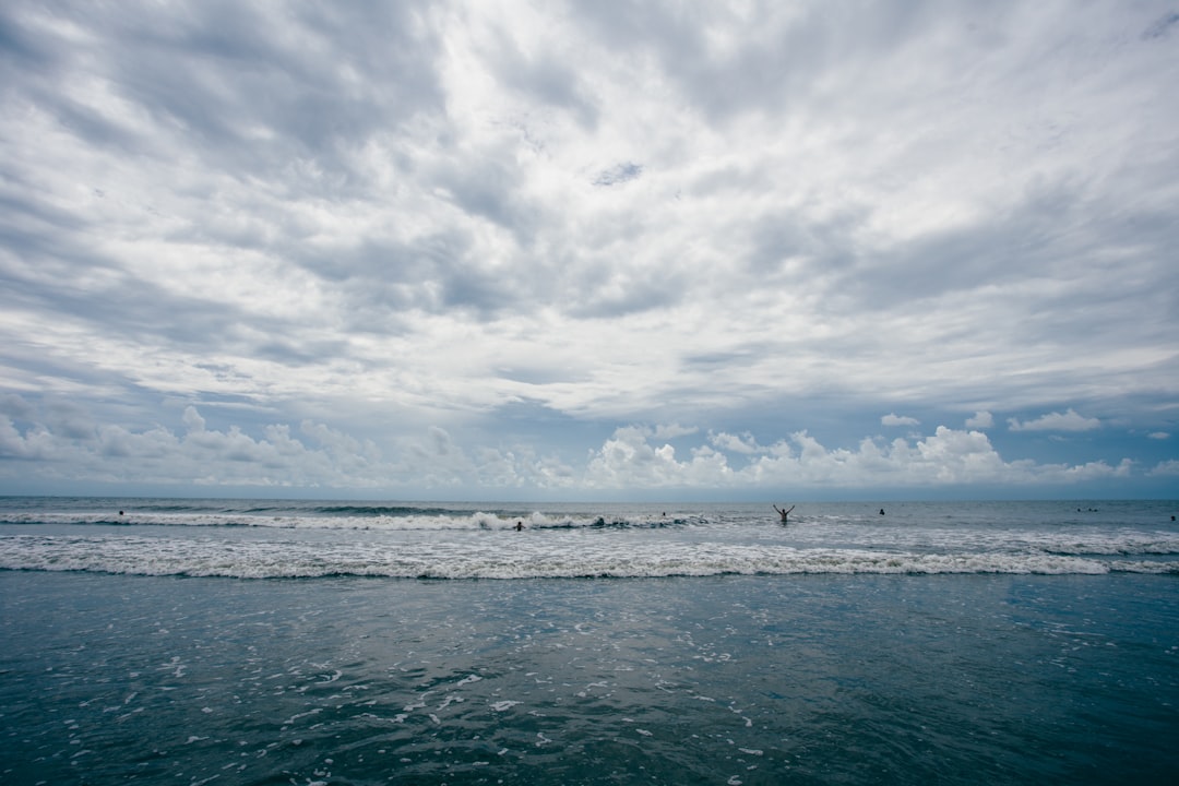 birds flying over the sea during daytime