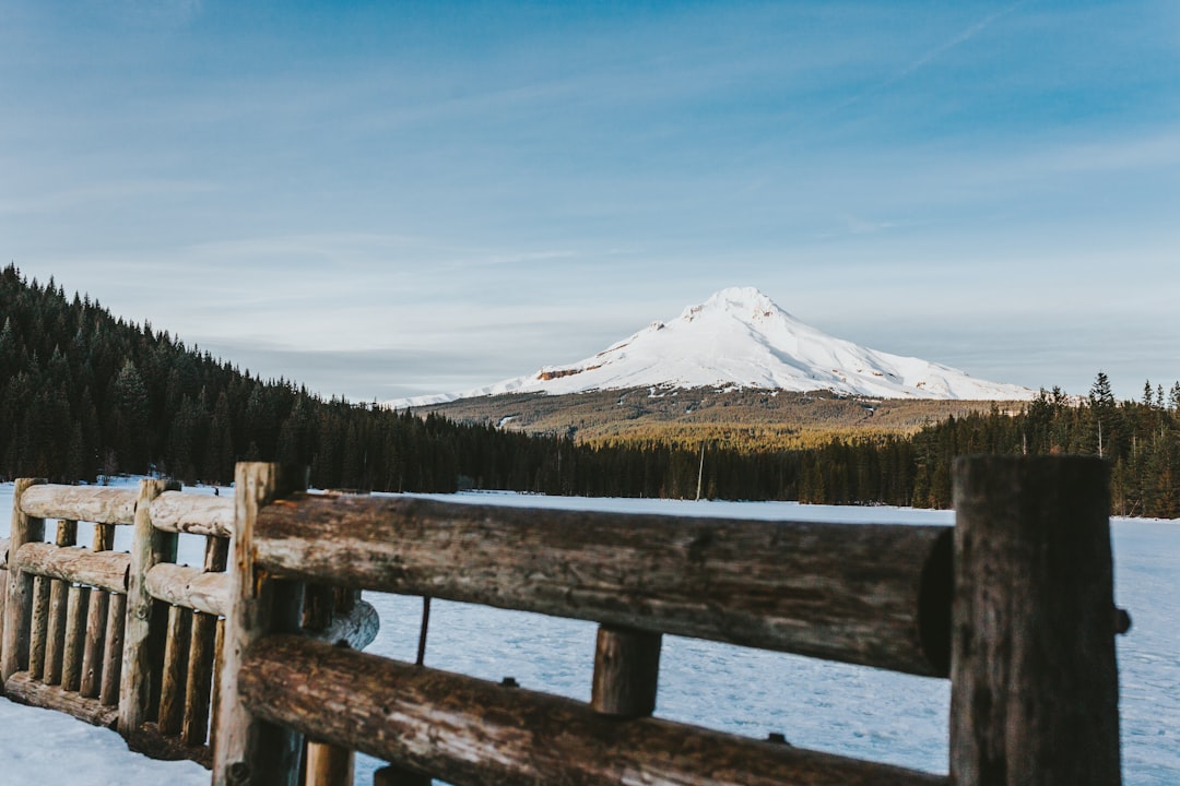 brown wooden fence near lake with view of snow capped mountain