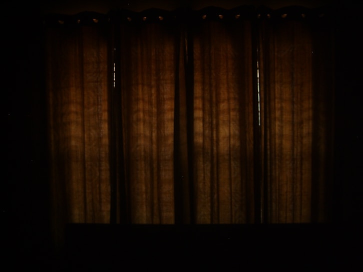 Cozy living room with rich blackout curtains softly filtering evening light.