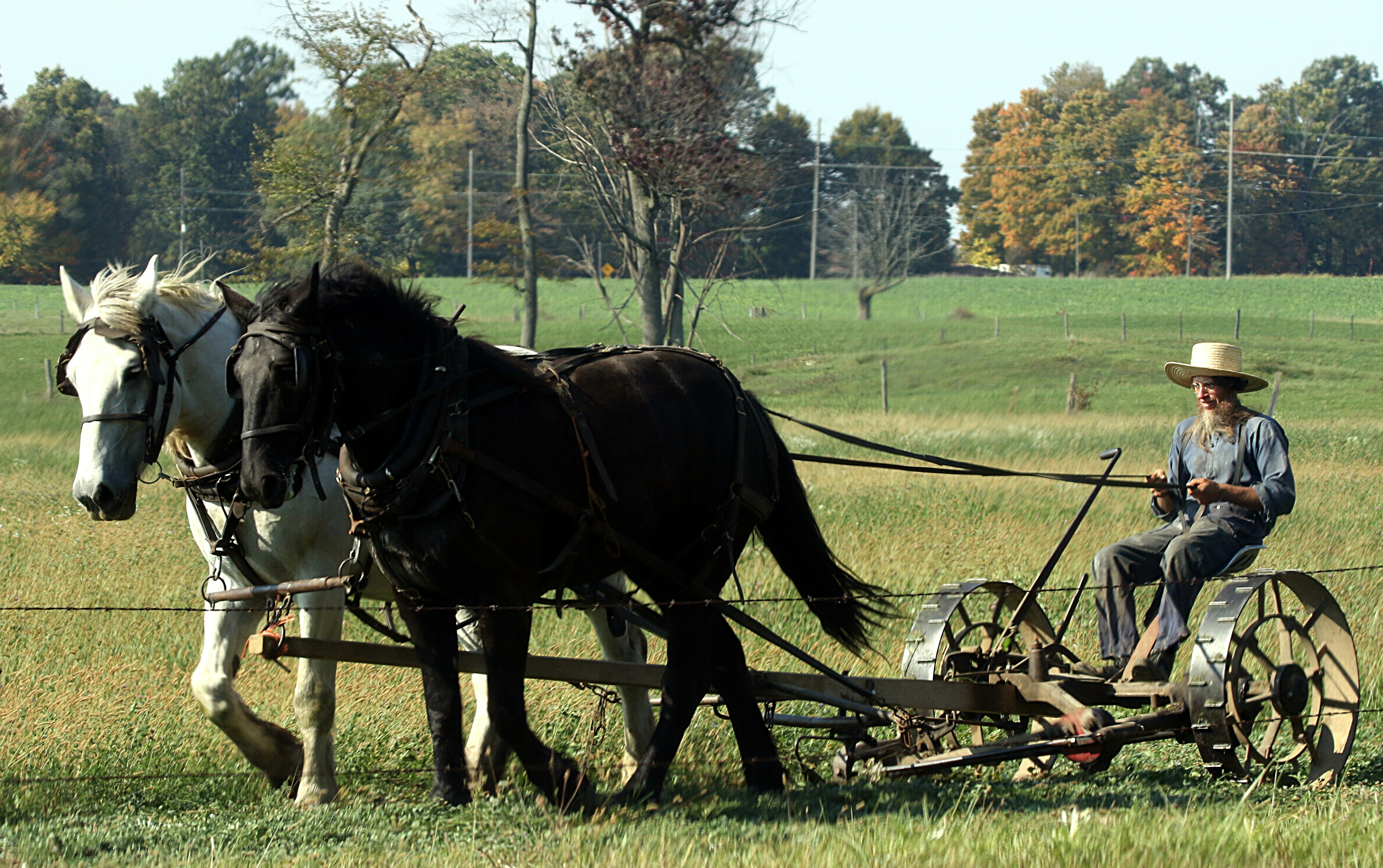 A farmer wearing traditional clothing and a straw hat is driving a horse-drawn plow across a green field. The scene includes two horses, one white and one black, working together to pull the plow. The background features trees with leaves in autumn colors and open green pastures.