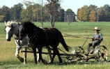 A local farmer working in the fields.