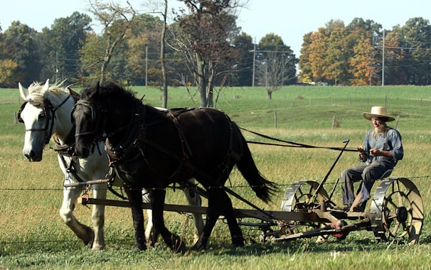 A farmer wearing traditional clothing and a straw hat is driving a horse-drawn plow across a green field. The scene includes two horses, one white and one black, working together to pull the plow. The background features trees with leaves in autumn colors and open green pastures.