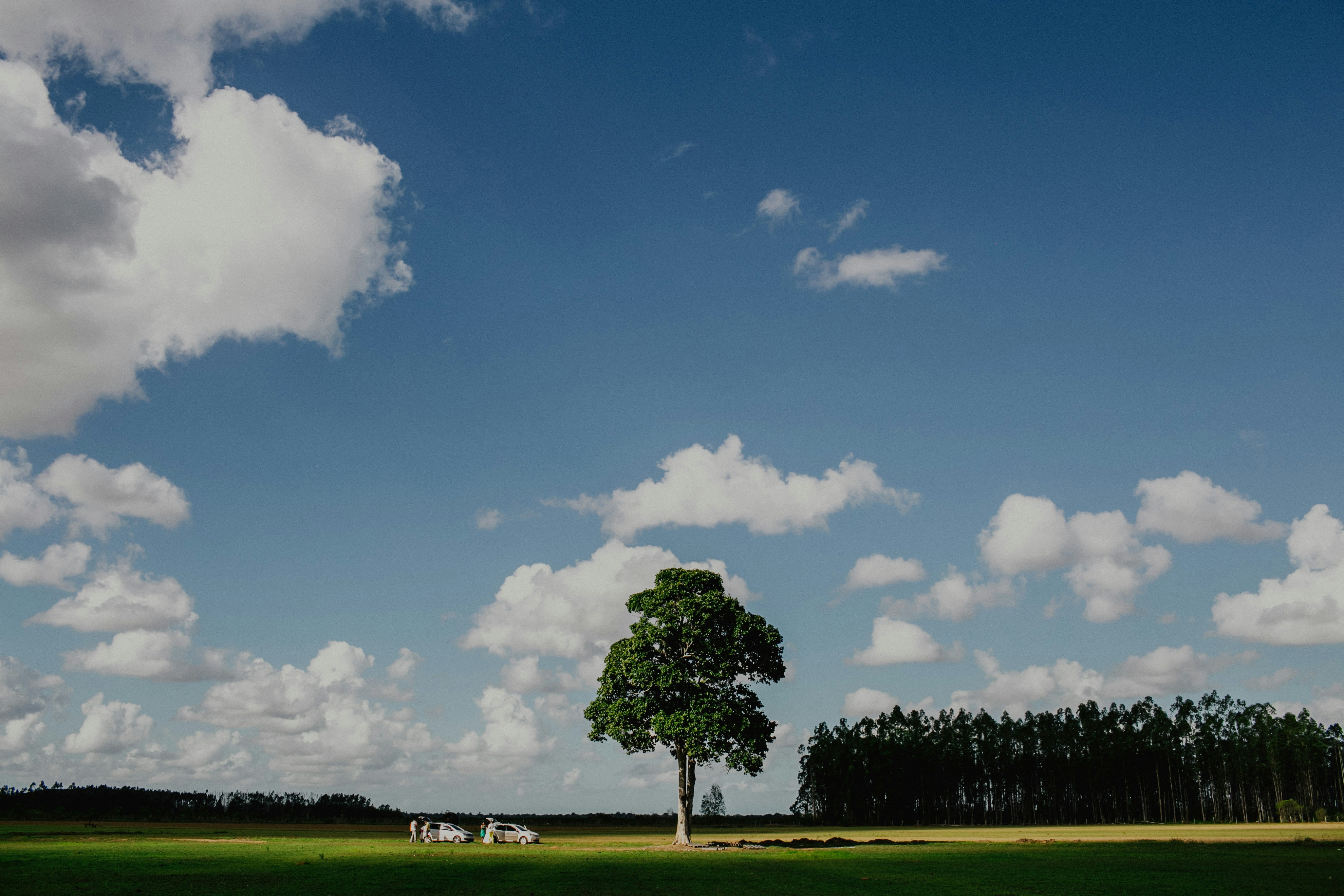 Photo by jonathanborba