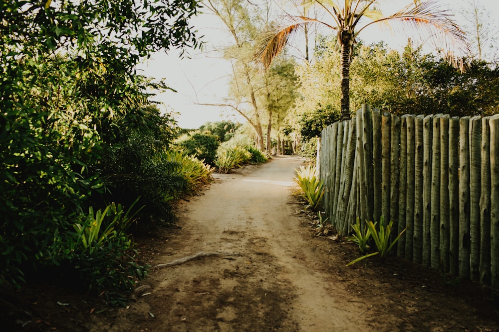 pathway photo