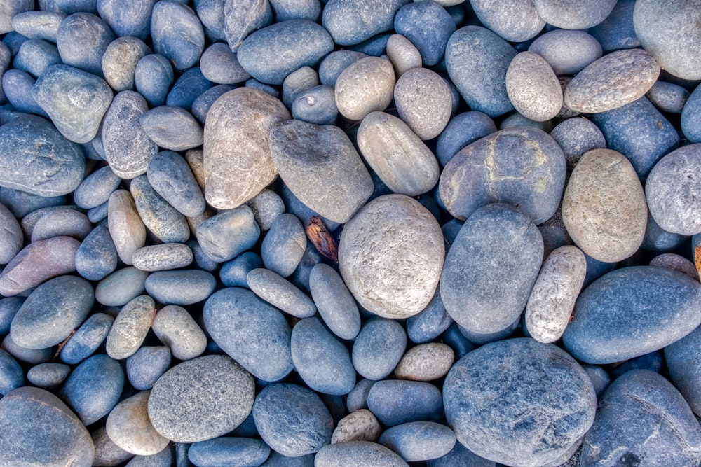 gray stones on focus photography