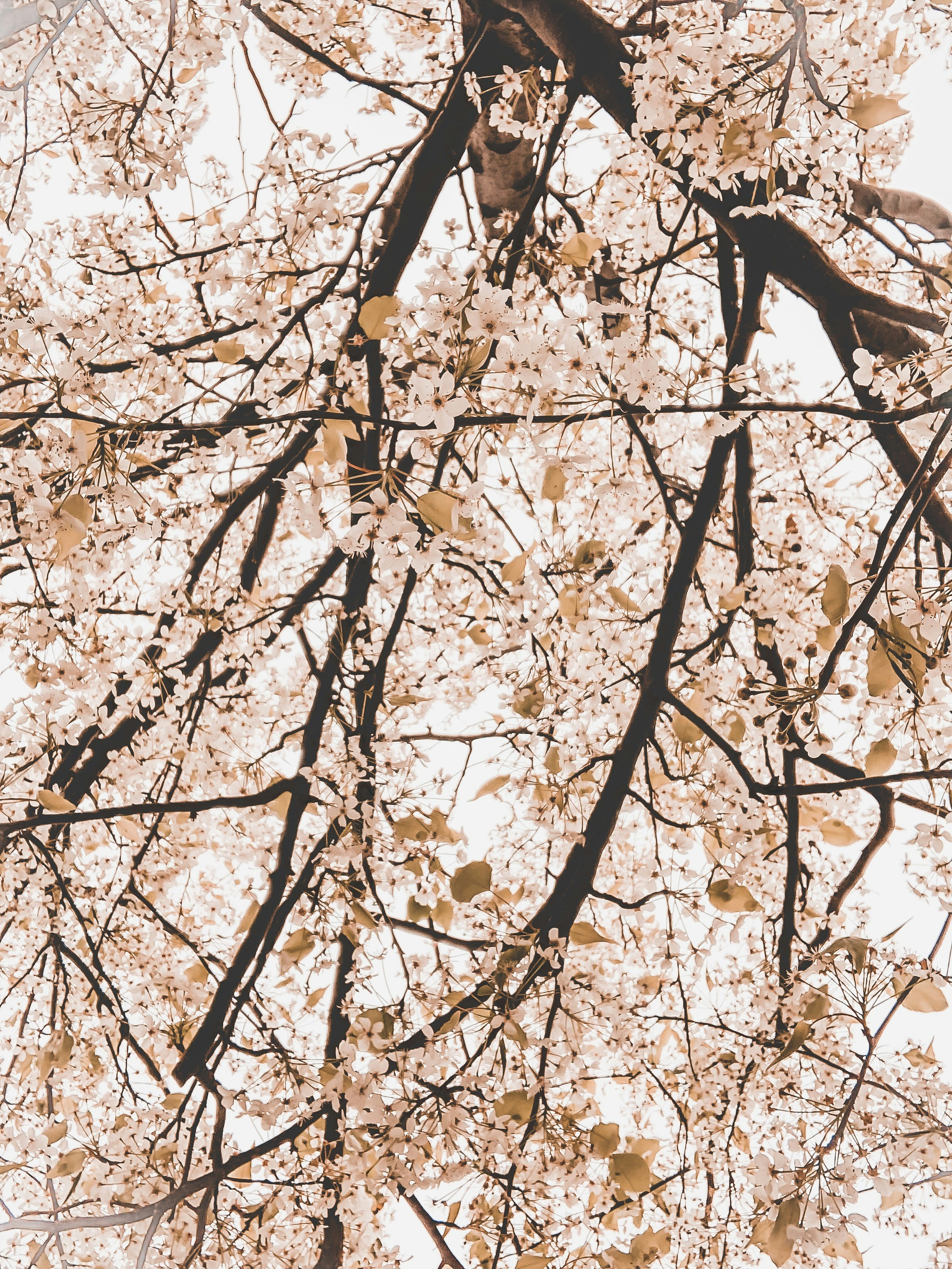 Photo by guss_bedolla